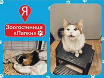 Зоогостиница для ваших питомцев