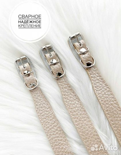 Ошейник для собак