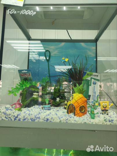 Одежда для собак и кошек