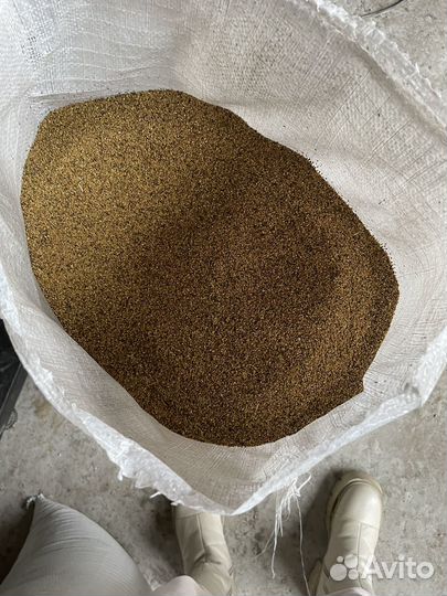 Семена люцерны