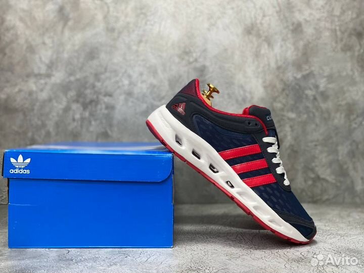 Adidas Climacool Blue Red