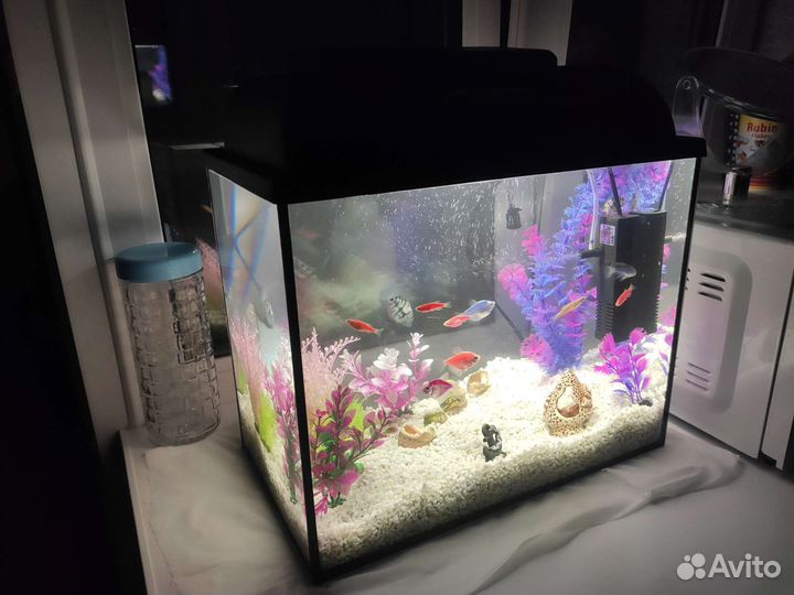 Аквариум под ключ 30 литров
