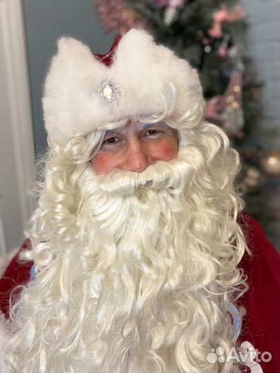 Дед Мороз и Снегурочка к вам на праздник