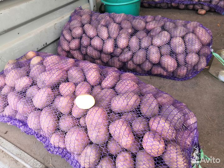 Продам картофель