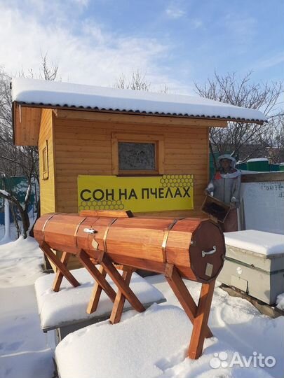 Бесплатные курсы пчеловода, обучение пчеловодству