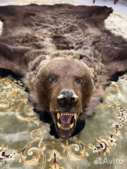 Шкура медведя имитация