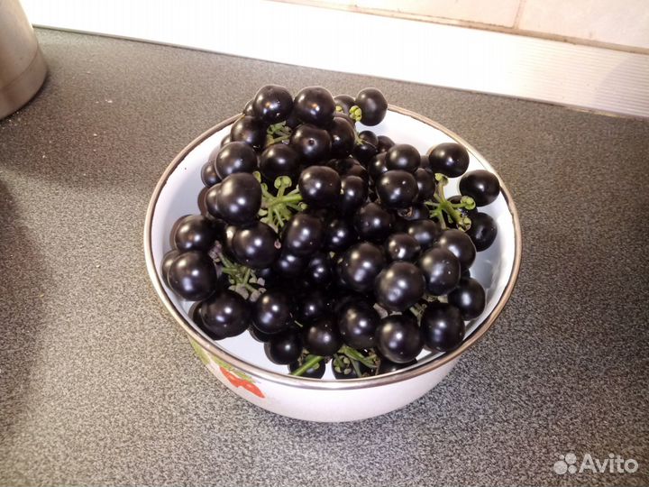 Семена санберри или черники-форте