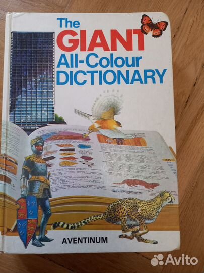 The Giant All-Colour Dictionary