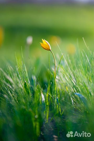 Фотоуслуги