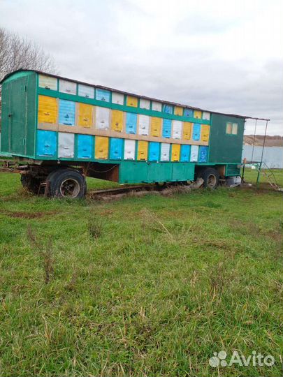 Пчелоприцеп