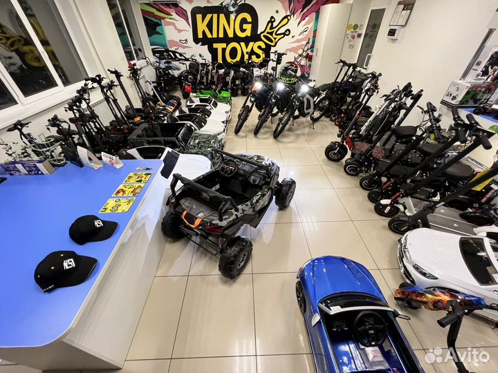 Электроскутер SkyBoard Trike BR60-3000 Pro Fast