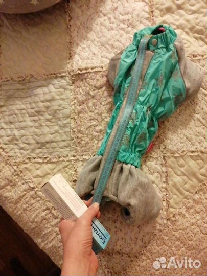 Одежда для собаки