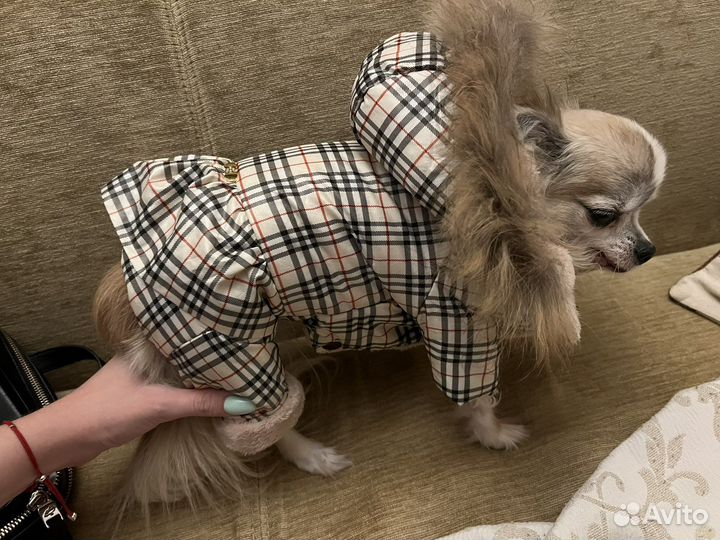 Одежда для собак мелких пород комбинезон зимний