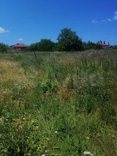 Участок 21 сот. (ИЖС)