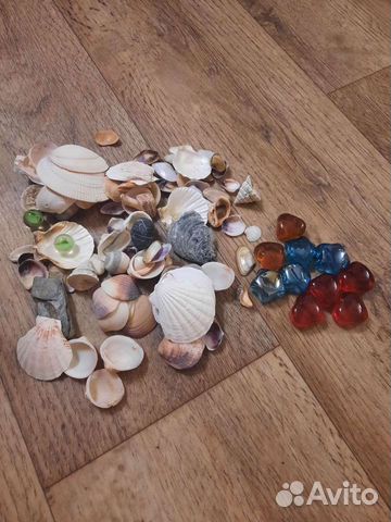 Ракушки и камушки