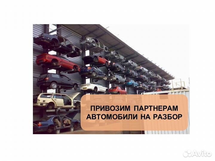 Готовый бизнес автозапчасти