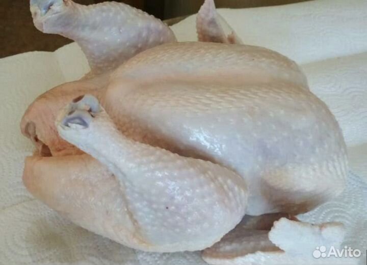 Мясо бройлера домашнего