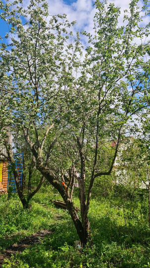 Дача 40 м² на участке 6 сот.