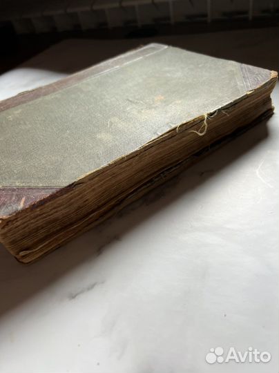 Книга «Человек» 1902