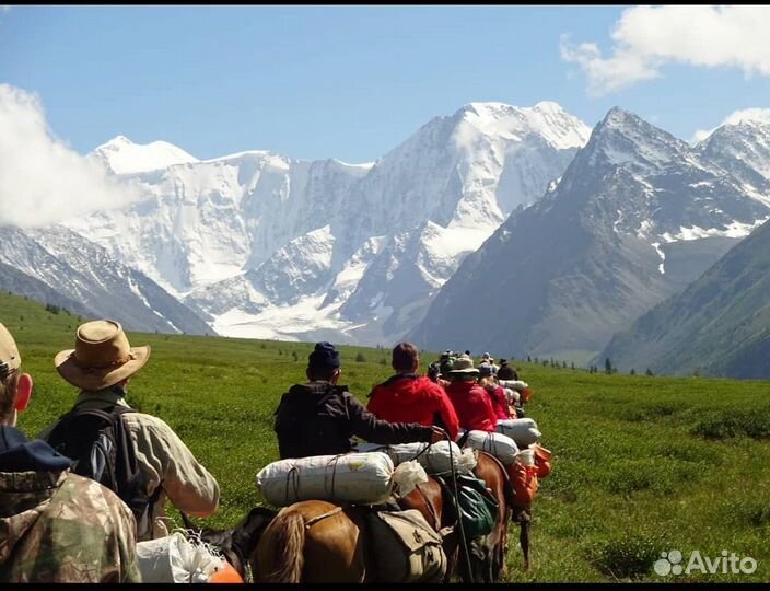 Конный поход