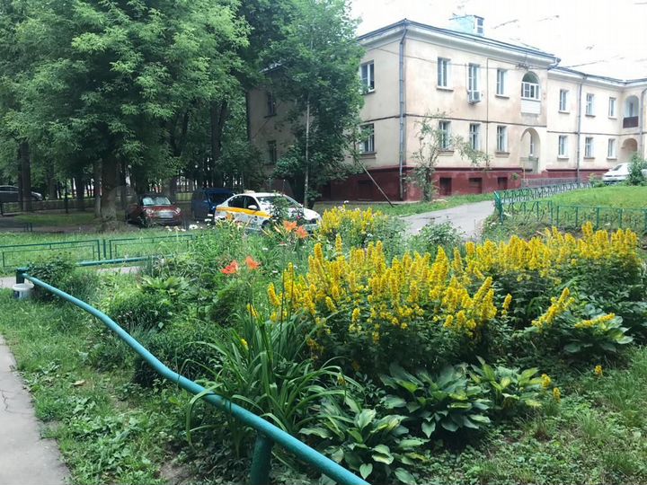 2-к. квартира, 46,2 м², 2/4 эт.