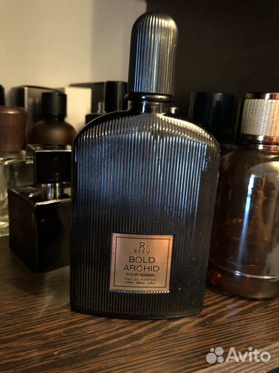 Bold Archid Pour Homme