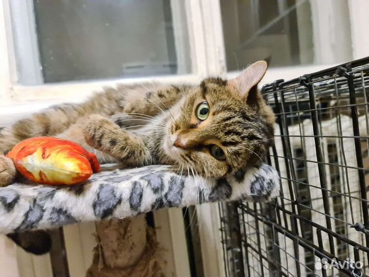 Красивейшая Мария в дар Надёжным людям