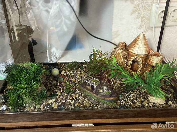 Аквариум для рыбок