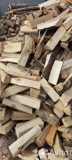 Дрова береза
