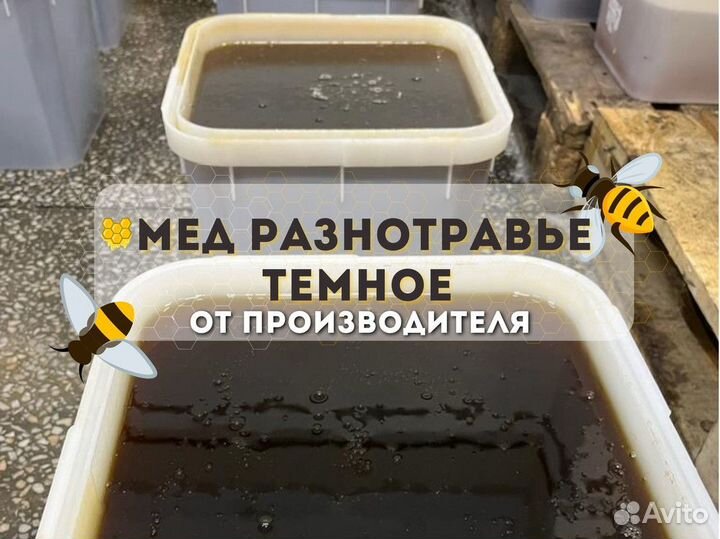 Разнотравье темное, мёд оптом