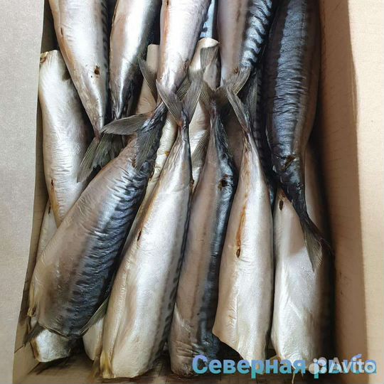 Рыба вяленая, х/к, с/с, с/м печень трески