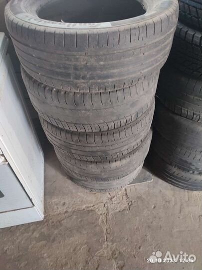 Cordiant Polar 205/55 R16