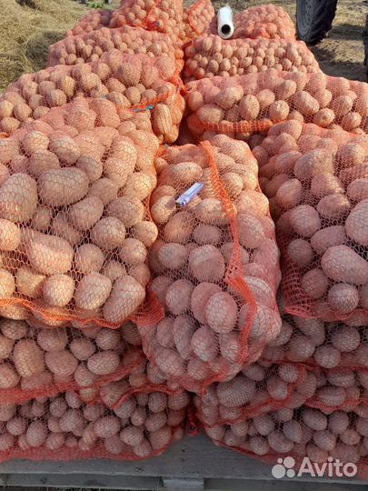 Продам картофель с доставкой