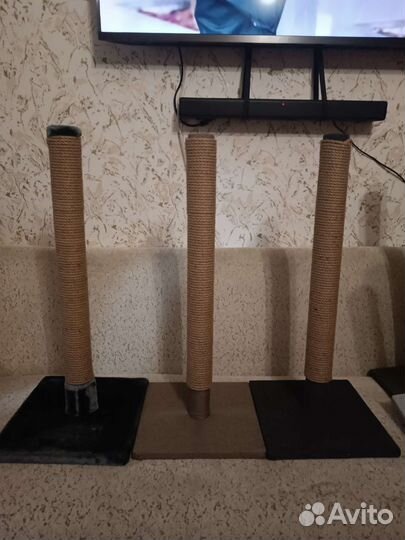 Когтеточка