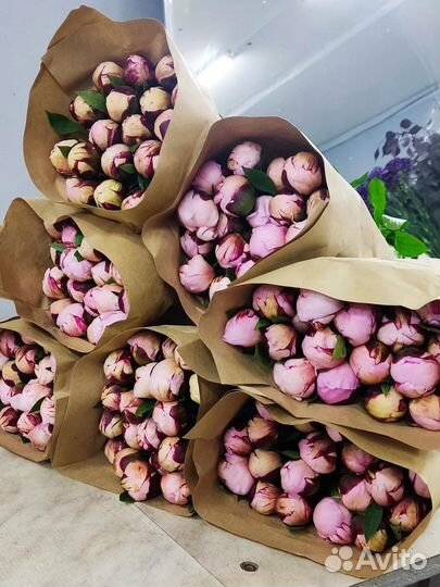 Букет цветов пионы