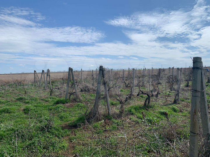 Участок 7,5 га (СНТ, ДНП)