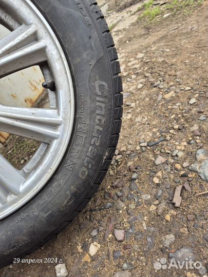 Pirelli Cinturato P1 185/60 R14