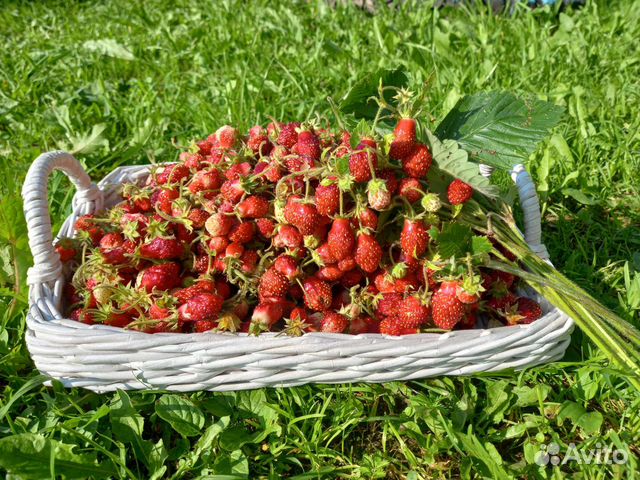 Поднос с плетеным дном