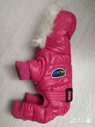 Комбинезон для мини собаки