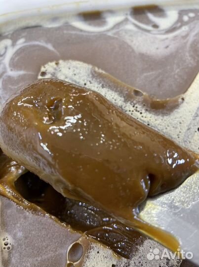 Мед гречишный. Сбор 2022. От 12 кг