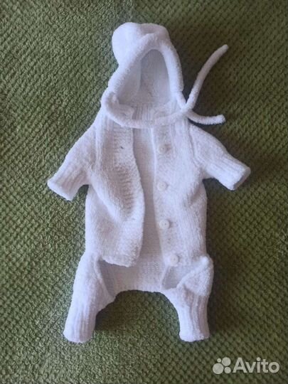 Одежда для собак Чихуахуа