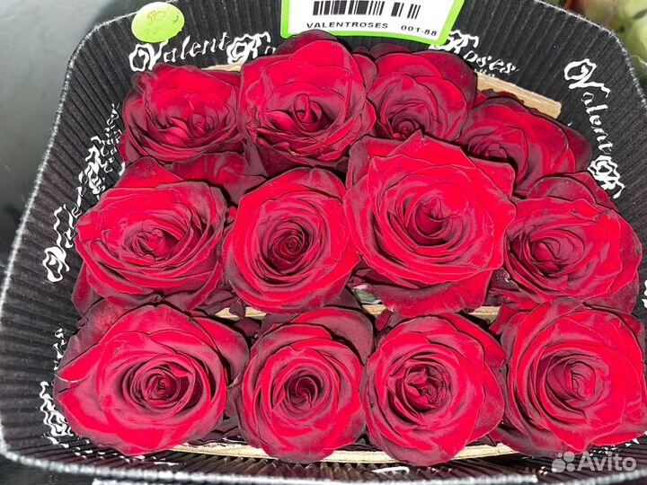 Роза 70см, букеты, цветы (опт, розница) Эквадор