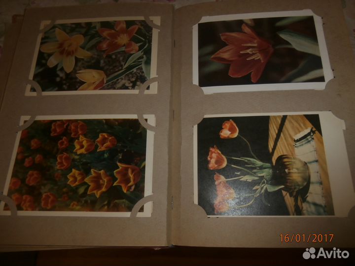 Фотоальбомы