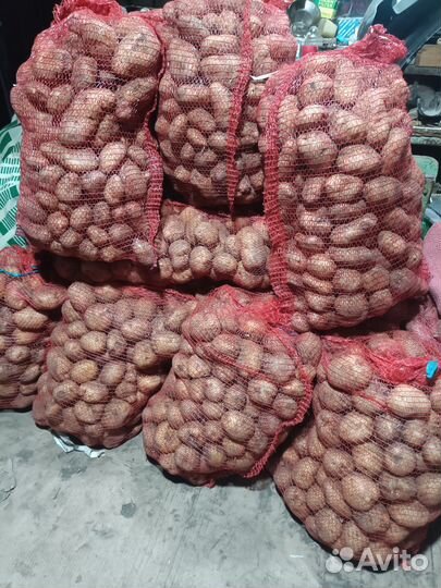 Картофель домашний морковь