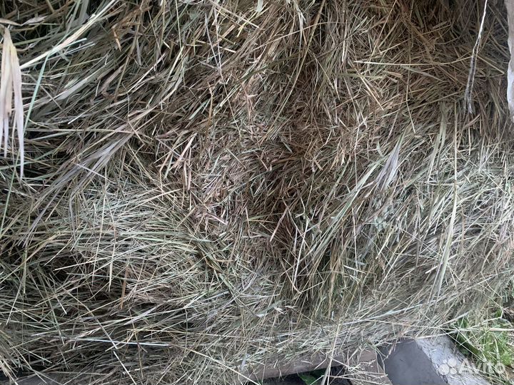 Сено в мешках