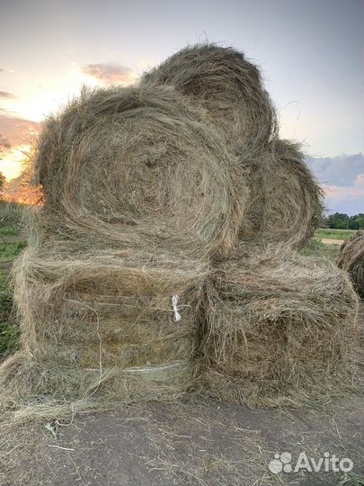 Сено в рулонах