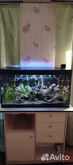 Аквариум с тумбой