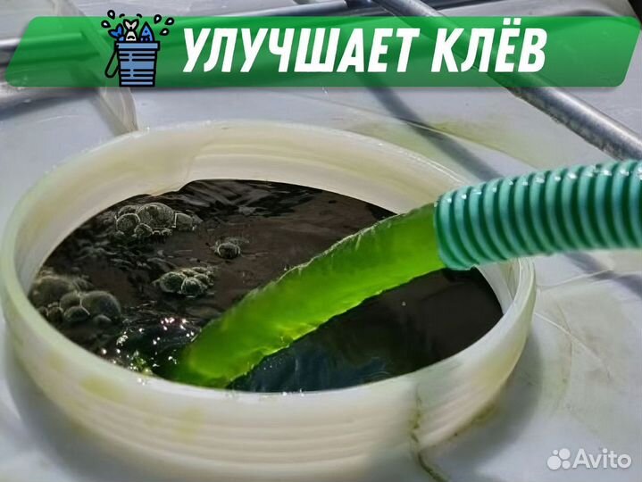 Живая хлорелла от производителя