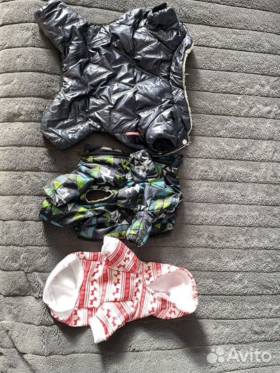 Одежда для маленьких собак S