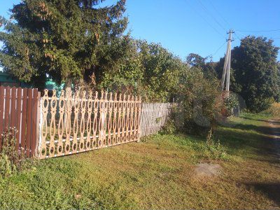 Дом 53 м² на участке 33 сот.